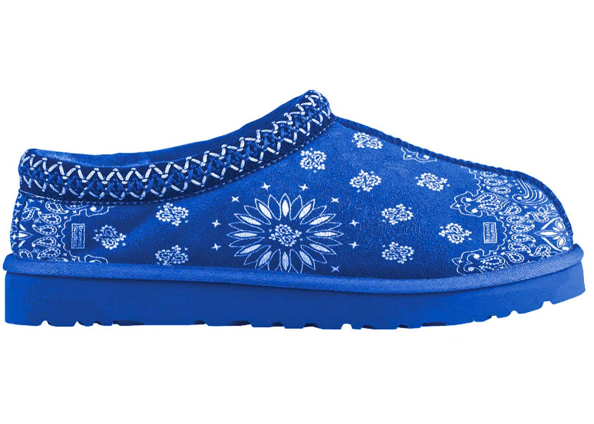 Bravest Paisley Slipper Blue