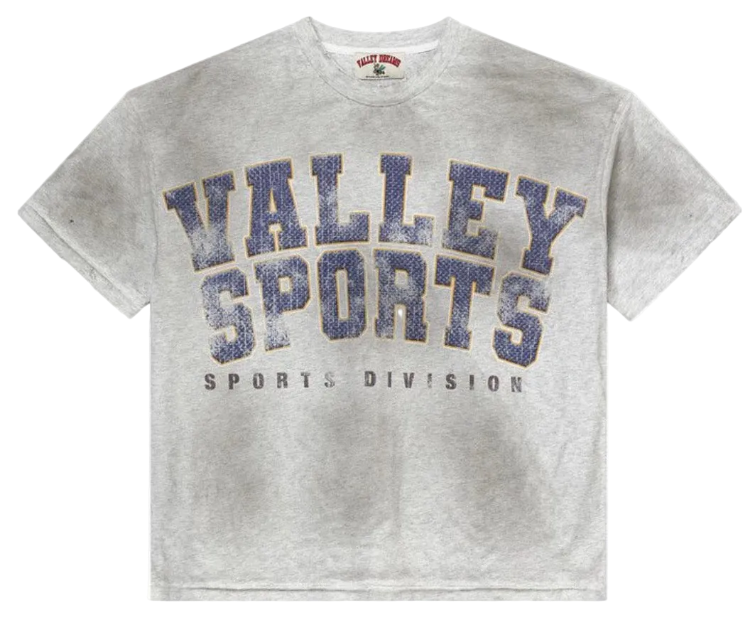 Vale forever SPORTS DIVISION TEE [GYM GREY]
